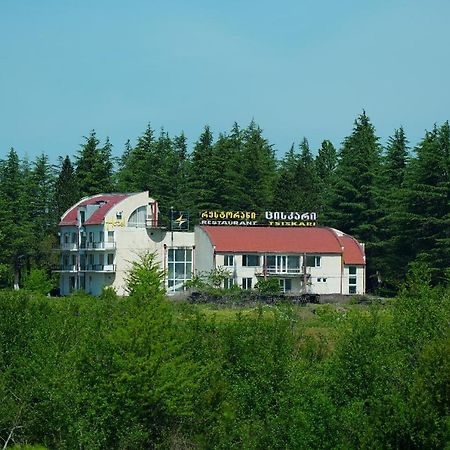 Hotel Tsiskari Ianet'i Екстериор снимка