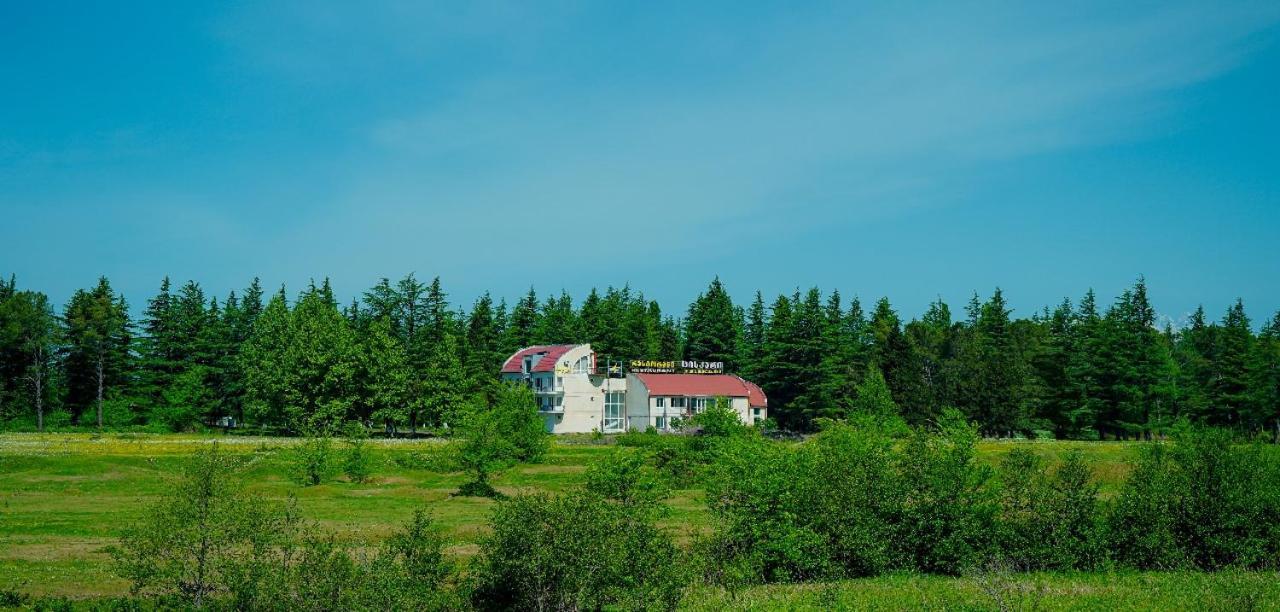 Hotel Tsiskari Ianet'i Екстериор снимка