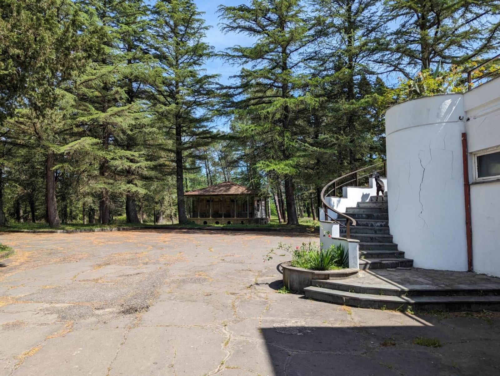 Hotel Tsiskari Ianet'i Екстериор снимка