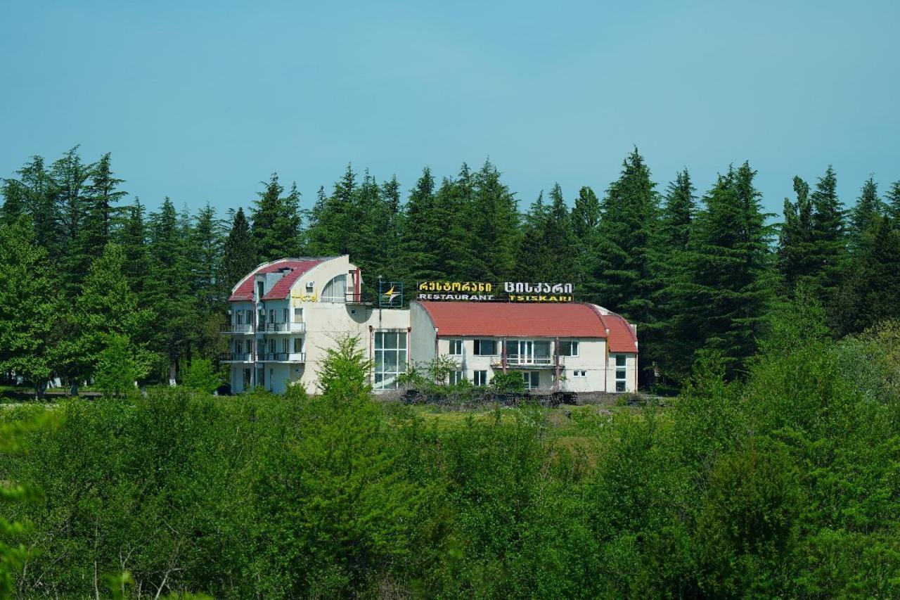 Hotel Tsiskari Ianet'i Екстериор снимка