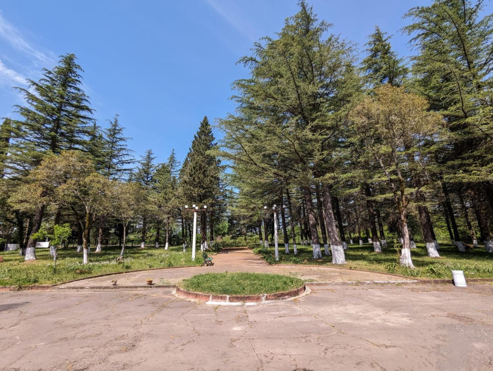Hotel Tsiskari Ianet'i Екстериор снимка